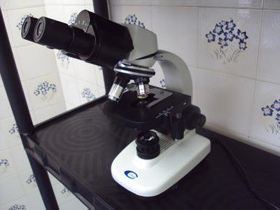 microscopio